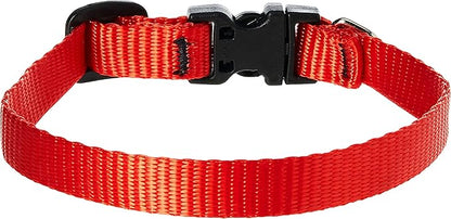 LupinePet Basics 1/2" Red 8-12" Adjustable Collar for Small Dogs