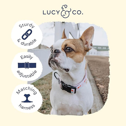 Lucy & Co. Cheery Cherries Dog Collar - Durable Lightweight Designer Collar for Pets - Adjustable Metal Safety Buckel - Red Gingham Cherries - Small