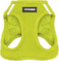 Best Pet Supplies Voyager Step-in Air Harness - All Weather Mesh, Reflective, No Pull Harness for Dogs, Cats - Secure with Hook & Loop Fastener, Buckle, Double D-Rings - Lime Green, XXS
