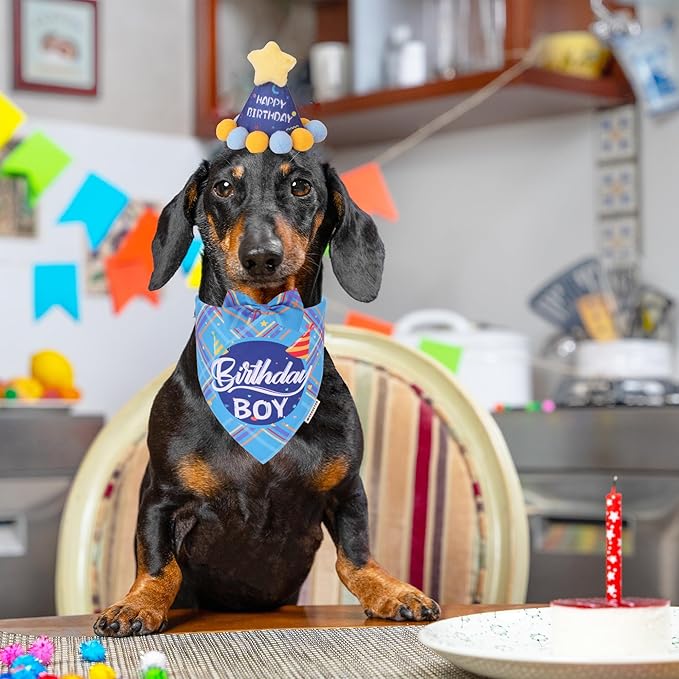 ADOGGYGO Dog Birthday Party Supplies, Blue Birthday Boy Puppy Bandana, Bowtie, Numbers, Party Hat for Small Dogs (Small)