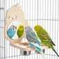 Feeder with Acrylic Mirror & Stainless Steel Bowls, Natural Wood Perch, Cage Accessories, Parakeet Cage Supplies, Tool-Free Adjustable Kit for Parakeet, Cockatiel & Lovebird