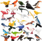 ZENFUN 29 Pieces Realistic Bird Animals Figurines, Mini Bird Model, Birds Cake Cupcake Topper, Parrot Figurine, Miniature Birds Animal Figure for Birthday Party Supply