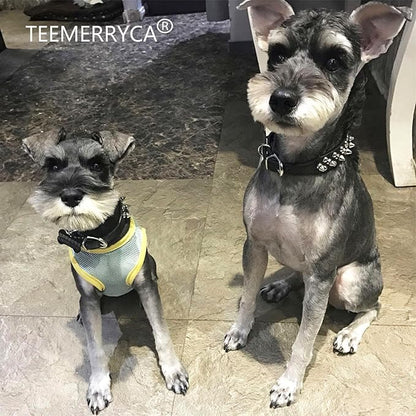 TEEMERRYCA Adjustable Microfiber Leather Spiked Studded Dog Collars with a Squeak Ball Gift for Small Medium Large Pets Like Cats/Pit Bull/Bulldog/Pugs/Husky, Black, XL 17.7-20.5 inches