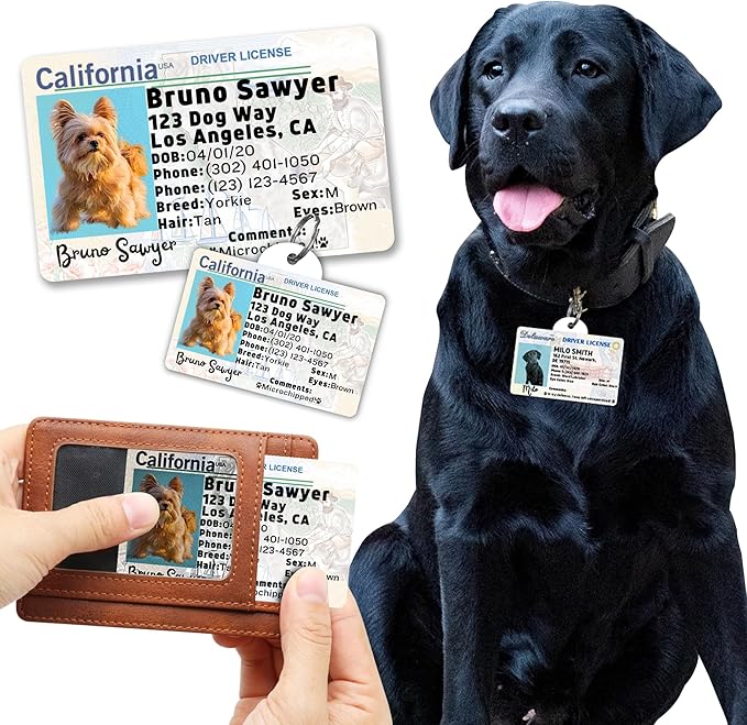 PawFurEver Personalized Dog Driver License ID Tag for Dogs & Cats - Custom Pet License Dog ID Tags Personalized Heavy Duty with Name, Photo & Phone Number, 50 States + DC (Newyork, Wallet Card)