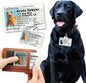 PawFurEver Personalized Dog Driver License ID Tag for Dogs & Cats - Custom Pet License Dog ID Tags Personalized Heavy Duty with Name, Photo & Phone Number, 50 States + DC (Arizona, Wallet Card)