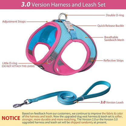 AIITLE Dog Harness, No-Pull Cat Harness with a Leash, Adjustable Reflective Dog Vest, Cat Harness Escape Proof, Outdoor Walking, Running,Training for Extra Small Dogs and House Cats Hot Pink XXXS