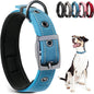 PetiFine Dog Collar for Large Dogs, Neoprene Padded and Adjustable, Reflective Wide Heavy Duty Pet Collars with Durable Metal Belt Buckle for Walking, Blue, L