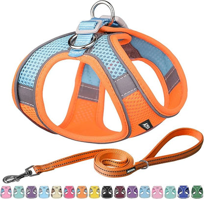 AIITLE No Pull Dog Harness and Leash Set, Step in Adjustable Dog Harness with Padded Vest for All Weather, Dog Leash with Soft Padded Handle, Easy to Put on Small and Medium Dogs Orange S