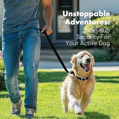 4.2FT Dog Collar and Leash Set, PVC Waterproof Adjustable Odor Proof Pet Collars Leashes, Easy to Clean, Surface 3D Cube Effect, Dog Leash for Small Dogs, Black