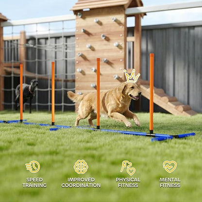 PawHut Adjustable Dog Agility Training Equipment, Dog Agility Course Backyard Set with Weaves Poles, Carry Bag and Ground Stakes for Pet Park Games Exercise
