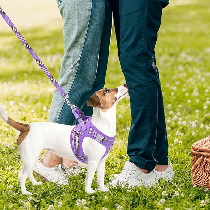 PUPTECK Adjustable Dog Harness Collar and Leash Set Step in No Pull Pet Harness for Small Medium Dogs Puppy and Cats Outdoor Walking Running, Soft Mesh Padded Reflective Vest Harnesses, Purple S