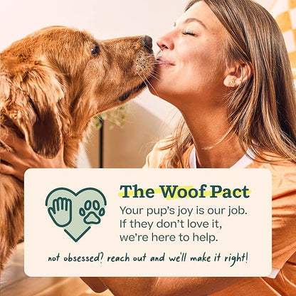 WOOF Pupsicle Refill Pops, Delicious Long Lasting Dog Treats, Pre-Made Pupsicle Refills for Dogs, Wholesome Ingredients, Low-Mess Chicken Pet Treats - XL Pops - 5 Count - 2 Pack