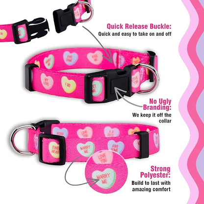 Native Pup Valentine’s Dog Collar- Valentines Day Pet Collars- Valentine Girly Hearts- Pink Red Heart- Cute Boy Girl Puppy Gift- Adjustable for Small, Medium, Large Breeds (Candy Hearts, Medium)