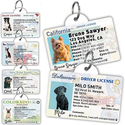 PawFurEver Personalized Dog Driver License ID Tag for Dogs & Cats - Custom Pet License Dog ID Tags Personalized Heavy Duty with Name, Photo & Phone Number, 50 States + DC (Wisconsin, Tag)