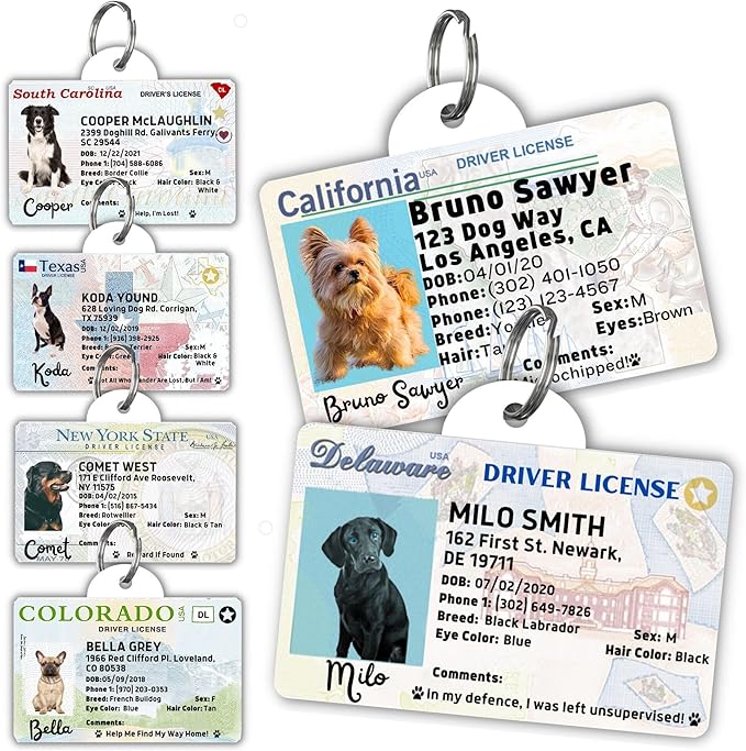 PawFurEver Personalized Dog Driver License ID Tag for Dogs & Cats - Custom Pet License Dog ID Tags Personalized Heavy Duty with Name, Photo & Phone Number, 50 States + DC (Wyoming, Tag)