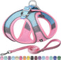 AIITLE Small Harness for Puppy with A Leash - Dog Vest Harness with Super Breathable Mesh, Reflective No-Pull Pet Harness for Outdoor Walking, Running for Small Dogs, Cats Pink XXS