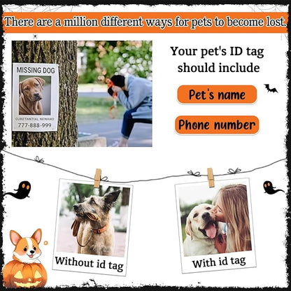 Personalized Pet Tags for Dog Cat, Custom Halloween ID Tags for Dogs, Dog Name Tags Engraved for Pets, Boo Basket Stuffers, Halloween Gifts for Dogs Lovers (Bat)