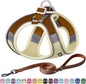 AIITLE Comfortable Dog Harness and Leash Set for Walking - Step in Vest Harness,Reflective Bands, Adjustable No Pull Puppy Essentials, for Small Dogs and House Cats Beige XS