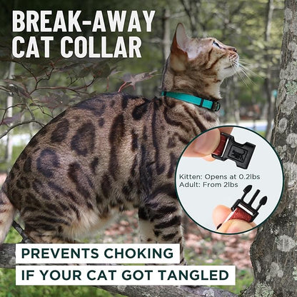 OutdoorBengal Orange Cat Collar Breakaway, Soft Padding for Medium to Large Cats - Durable Heavy Duty Tactical Fabric, Comfortable, Quick Release Breakaway Cat Collars, No Bell Collar (Orange, Adult)