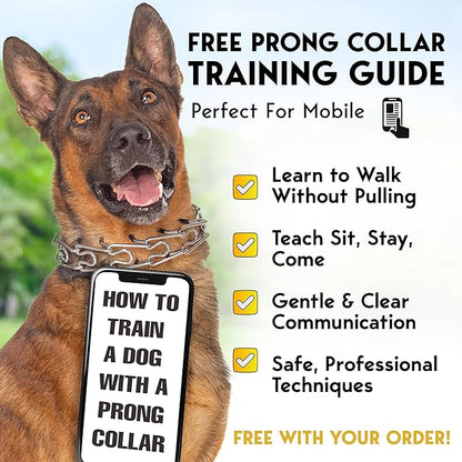 PetJett Prong Collar for Dogs Training Collar Adjustable Choke Collar for Dog Quick Release Pinch Collar for Dog for Small Medium Large Dogs No Pull Walking Tool - Stainless Steel Metal Choker Chain