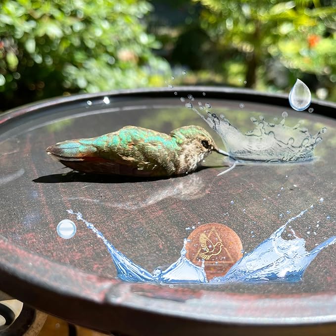 Bird Bath Purification Disk,99.99% Copper Disc for Bird Bath Copper Disk Cleaner Safe for Outside Birds Fountain Disc Accessories, Fit for Outdoor Birdbath Bowl(1 pcs)