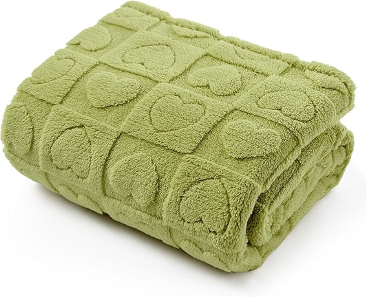 Bedsure Dog Blanket for Large Dogs Washable - Fluffy Fuzzy Puppy Cat Blanket with Premium 300GSM Coral Fleece Soft for Pet Kitten Doggy, Green, 40x50IN