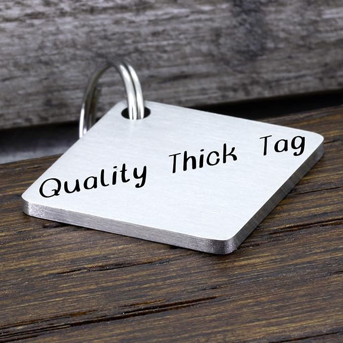 Ultra Joys Dog ID Tag, Custom Dog Tag Personalized Cat Tag, Pet ID Tag, Brushed Stainless Steel Diamond Dog Tag Silver Small