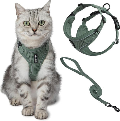 Voyager Escape-Proof Step-in Lock Cat Harness & 5ft Neoprene-Handle Leash Set All-Weather Mesh with Reflective Stitching for Small to Large Cats by Best Pet Supplies, Moss Green (327), S