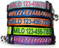 Pawtitas Personalized Blue Reflective Cat Collar – Adjustable Custom Collar with Safety Buckle, Removable Bell, and Engraved Name & Phone Number for Kittens and Adult Cats