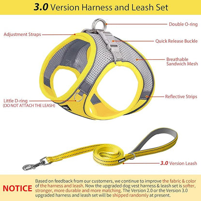 AIITLE Dog Harness, No-Pull Cat Harness with a Leash, Adjustable Reflective Dog Vest, Cat Harness Escape Proof, Outdoor Walking, Running,Training for Extra Small Dogs and House Cats Yellow XXXS