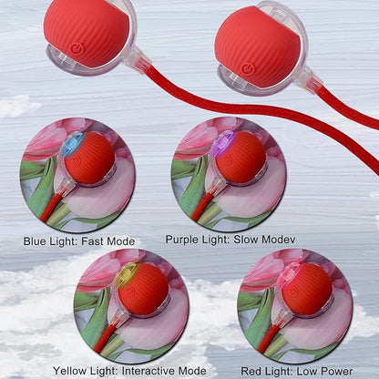 Interactive Cat Dog Toy Ball: Indoor Small Automatic Moving Smart Rolling Fun Pet Game with Led Light and String Tail for Motion Activated, Cute Kitten Puppy Present, Exercise Wheel Supplies (Red)