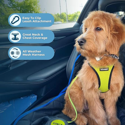 Best Pet Supplies Voyager Step-in Air Harness - All Weather Mesh, Reflective, No Pull Harness for Dogs, Cats - Secure with Hook & Loop Fastener, Buckle, Double D-Rings - Lime Green/Black Trim, XXXS