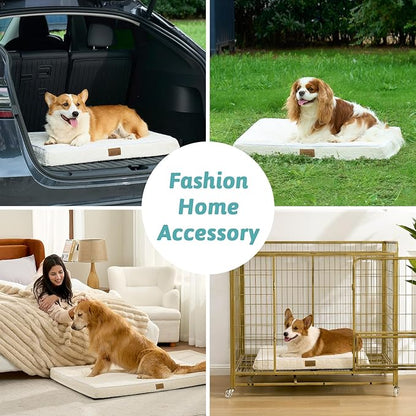Dog Bed for Extra Large Dogs, Rectangular XL Orthopedic Dog Beds, Foam Anti-Slip Bottom Pet Mat with Washable Removable Cover, Suitable for Pet Up to 100 lbs, 44x32x3 inch, Bed
