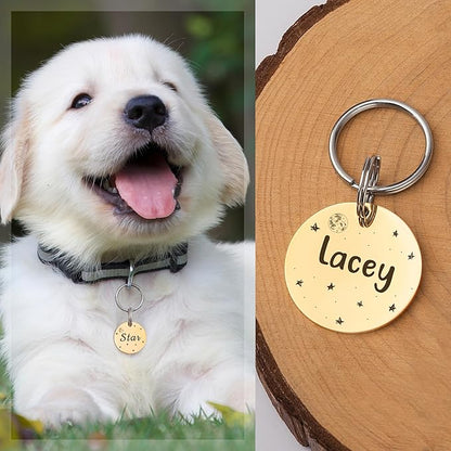 Anavia Small Size Dog Cat ID Tags, Small/XS Personalized Color Plated Stainless Steel Puppy Kitten Name Tags, Customized Engraved Nameplate Pet Collar Tag (Silver, Round)