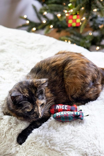 Pearhead Naughty Or Nice Christmas Cat Toy Set, Holiday Pet Owner Gift, Christmas Must Have Toy Set, Cat Teaser Toy, with Catnip Pouch, Set of 2