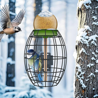LONA Squirrel Proof Bird Feeding Cage for Outdoor, All-Weather Metal Caged Bird Feeder with Peanut Butter Jar Holder, Trapeze Stick, Chew-Proof Feeding Cage for Small Birds (Oval Cage, 1 Feeding Unit)