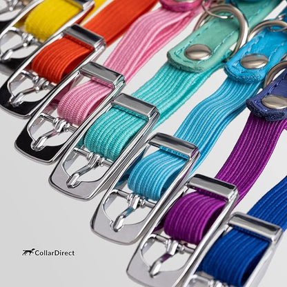 CollarDirect Leather Cat Collar, Kitten Collar with Removable Bell Black Blue Red Orange Lime Green (8-11 Inch, Orange)
