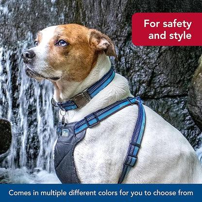 Coastal Pet K9 Explorer Reflective Adjustable Dog Collar - Comfortable Collar for The Outdoors - Durable, Lightweight Accessory with Side-Release Buckle - Sapphire, 5/8" x 10-14"