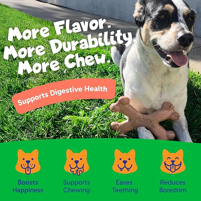 Chew’EMS X Bone Dog Chew Toy for Aggressive Chewers – Long-Lasting Beef Flavor Nylon Bone – Durable, Rawhide-Free Dental Toy - Large Size – Made in USA