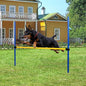 Pet Prime Dog Agility Training Equipment for Dog Obstacle Course Backyard Height Adjustable Jumper Hurdle Bar Portable Dogs Park Exercise Tool