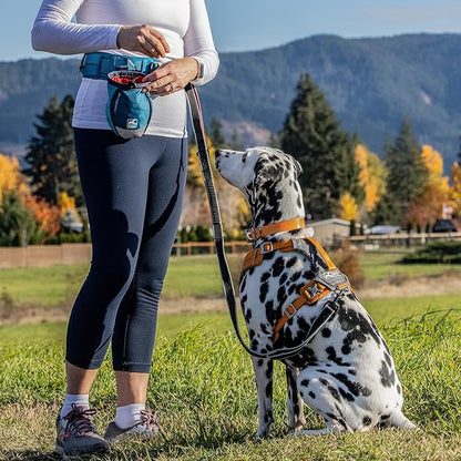 Kurgo G-Train Dog Carrier Backpack - Comfortable Travel Bag for Pets Up to 25 lbs - Waterproof Bottom - Multi-Compartment Pack - Dog Hiking Gear - Rugged Adventure Backpack - Ink Blue