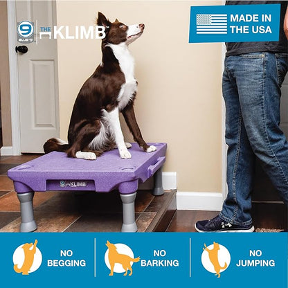 Blue-9 Pet Products KLIMB Dog Training Platform and Agility System, Durable and Portable for Indoor or Outdoor Use, Made in The USA, Black