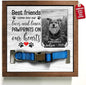 Customized Pet Sympathy Gifts Deceased Pet Picture Frame Losing A Dog Home Wall Art Decor Personalized Bereavement Frame Sign Gifts for Him Her Sentimental Quote Memorial Pet Tribute Keepsake