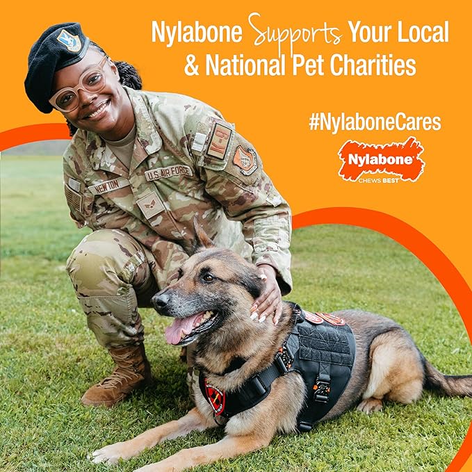 Nylabone Limited Edition 70th Birthday Textured Bone Power Chew Toy for Dogs, Durable & Tough Dog Toys for Aggressive Chewers, Roasted Chicken Flavor, X-Large Dogs - 50+ lbs (1 Count)