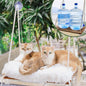 Large Cat Window Perch with Industrial-Grade Suction Cups - Solid Pine Wood Hammock Bed, Soft Cushion - 42 lb Capacity for Heavy Cats Inside