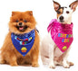 Dog Birthday Bandana - 2 Pack Boy Girl Bandanas for Dogs Puppy Birthday Party Decorations, Small
