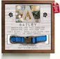 Customized Dog Picture Frames Pet Memorial Gifts Loss Dog Cat Grieving Picture Frame Pet Remembrance Heartfelt Sentimental Quote Memorial Plaques Christmas Plaque Birthday