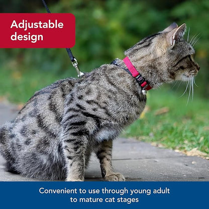 Coastal Pet New Earth Soy Adjustable Breakaway Cat Collar - Eco-Friendly, Odor-Resistant and Adjustable Cat Collar - Olive - 3/8" x 8"-12"