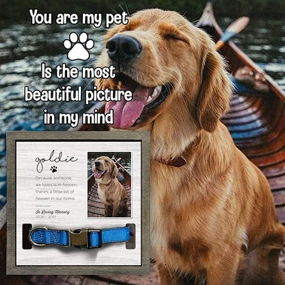 Customized Dog Collar Frame Memorial Pet Loss Sign for Dogs Lovers Gifts With Heartfelt Sentimental Quote For Someone Who Lost A Pet Keepsake Picture Frame Remembrance Decor Wall Remembrance