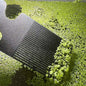 Aquarium Duckweed Removal Tool, 6.5 x 3 inch Floating Plant Comb Spatula, Aquatic Tank Cleaning Tool (Black)